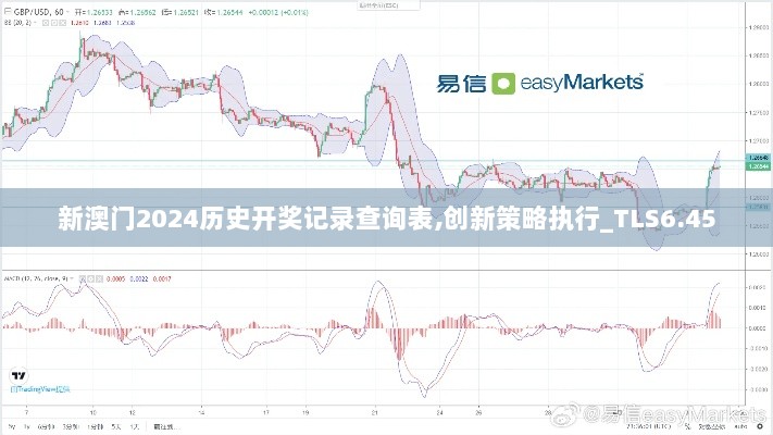 新澳门2024历史开奖记录查询表,创新策略执行_TLS6.45