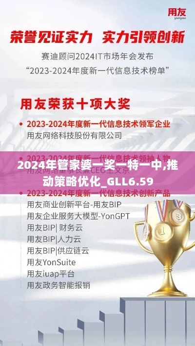 2024年管家婆一奖一特一中,推动策略优化_GLL6.59