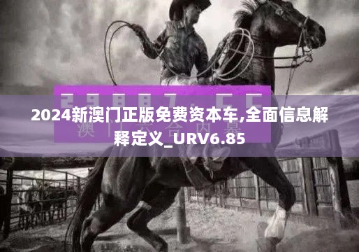 2024新澳门正版免费资本车,全面信息解释定义_URV6.85