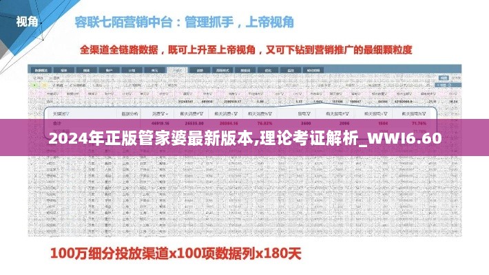 2024年正版管家婆最新版本,理论考证解析_WWI6.60