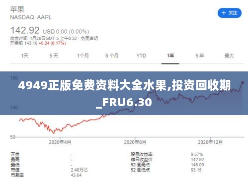 4949正版免费资料大全水果,投资回收期_FRU6.30