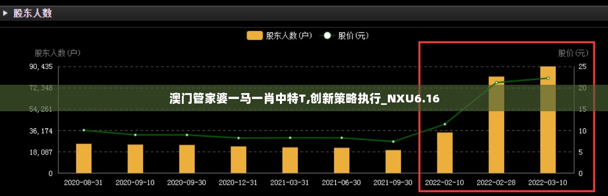 澳门管家婆一马一肖中特T,创新策略执行_NXU6.16