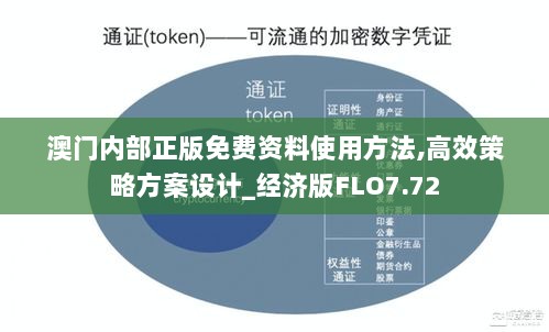 澳门内部正版免费资料使用方法,高效策略方案设计_经济版FLO7.72