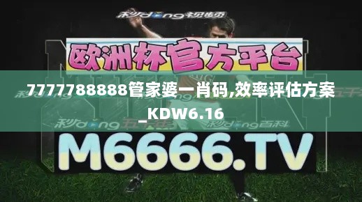 7777788888管家婆一肖码,效率评估方案_KDW6.16