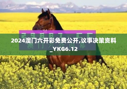 2024澳门六开彩免费公开,议事决策资料_YKG6.12