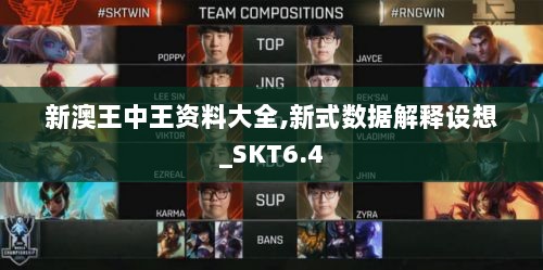 新澳王中王资料大全,新式数据解释设想_SKT6.4