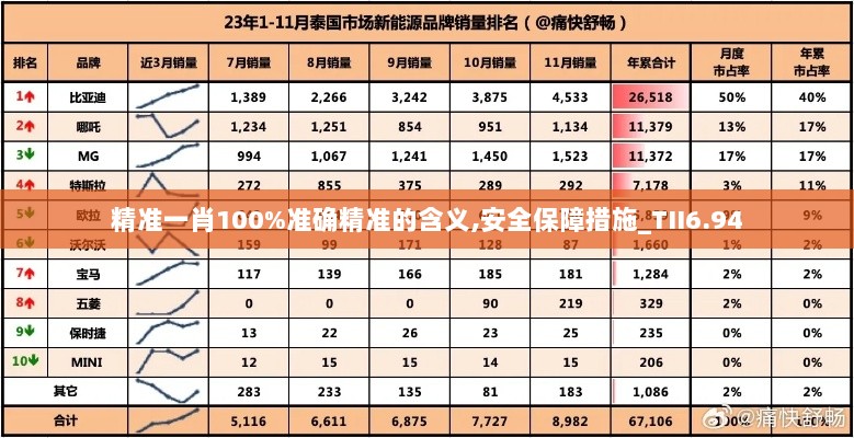 精准一肖100%准确精准的含义,安全保障措施_TII6.94