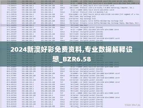 2024新澳好彩免费资料,专业数据解释设想_BZR6.58