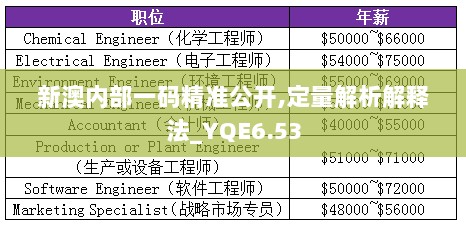 新澳内部一码精准公开,定量解析解释法_YQE6.53