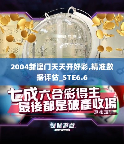 2004新澳门天天开好彩,精准数据评估_STE6.6