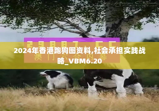 2024年香港跑狗图资料,社会承担实践战略_VBM6.20