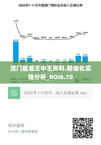 澳门最准王中王资料,精细化实施分析_ROI6.70