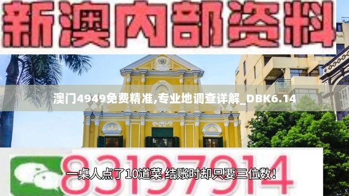 澳门4949免费精准,专业地调查详解_DBK6.14