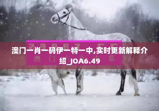 澳门一肖一码伊一特一中,实时更新解释介绍_JOA6.49