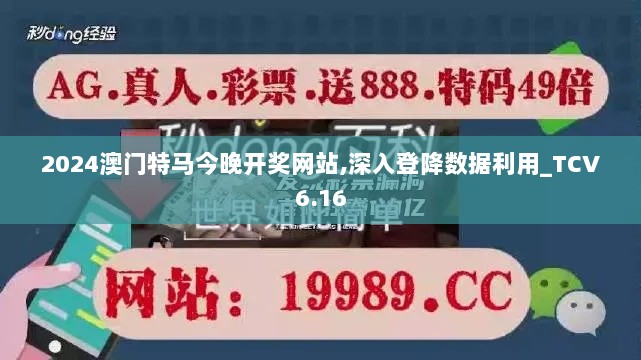 2024澳门特马今晚开奖网站,深入登降数据利用_TCV6.16