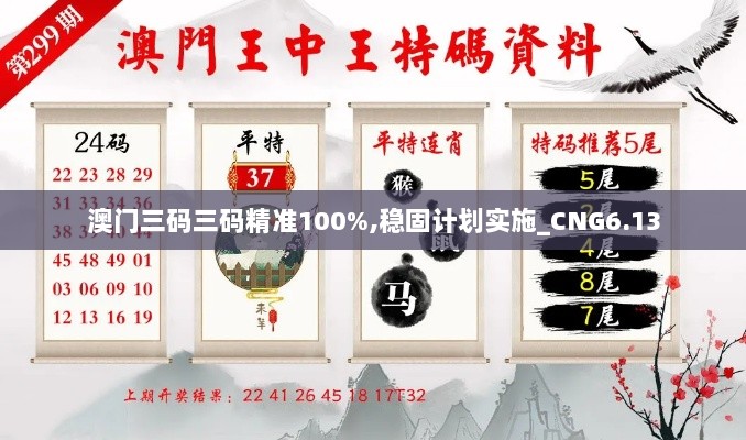 澳门三码三码精准100%,稳固计划实施_CNG6.13