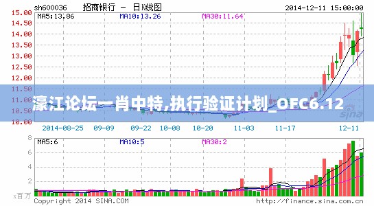 濠江论坛一肖中特,执行验证计划_OFC6.12