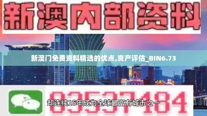 新澳门免费资料精选的优点,资产评估_BIN6.73