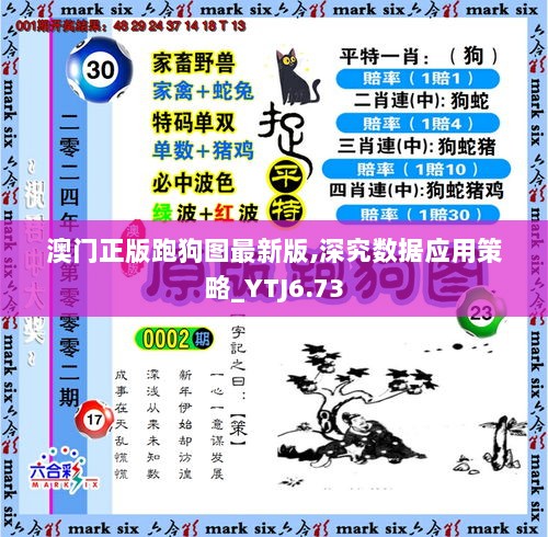 澳门正版跑狗图最新版,深究数据应用策略_YTJ6.73