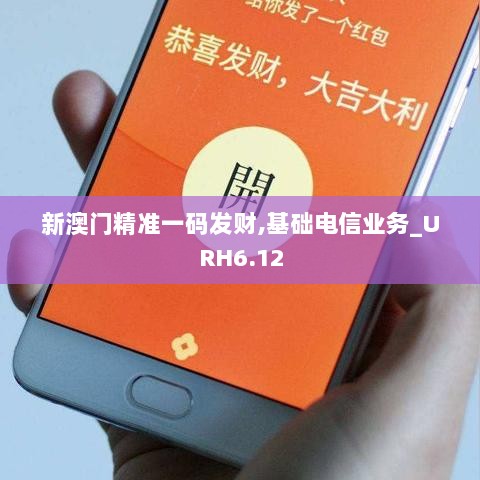 新澳门精准一码发财,基础电信业务_URH6.12