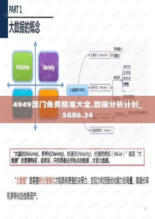 4949澳门免费精准大全,数据分析计划_SGB6.34