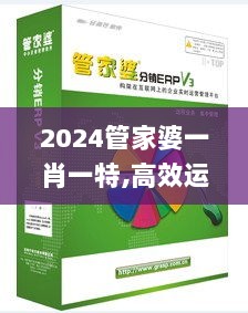 2024管家婆一肖一特,高效运行支持_AIA6.90