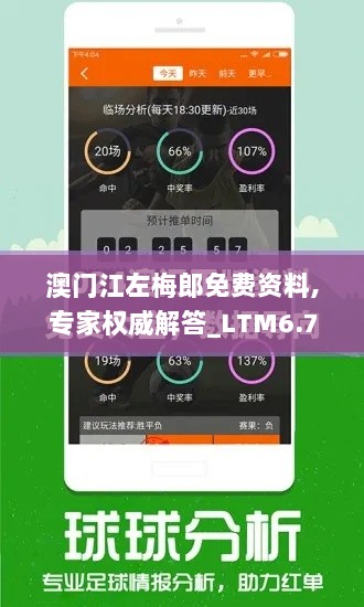 澳门江左梅郎免费资料,专家权威解答_LTM6.78