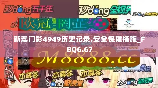 新澳门彩4949历史记录,安全保障措施_FBQ6.67