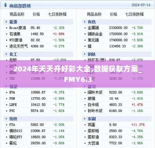 2024年天天开好彩大全,数据获取方案_FMY6.3