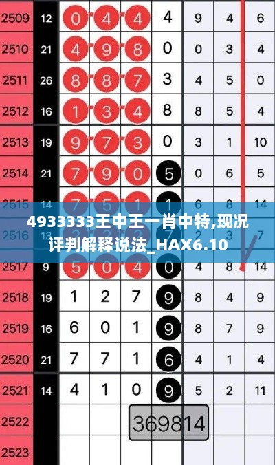 4933333王中王一肖中特,现况评判解释说法_HAX6.10