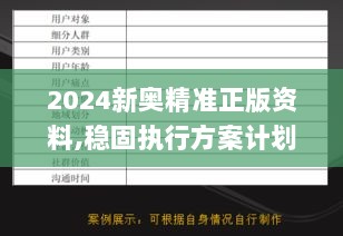 2024新奥精准正版资料,稳固执行方案计划_ITI6.25