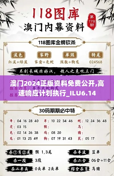 澳门2024正版资料免费公开,高速响应计划执行_ILU6.14