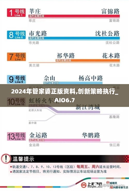 2024年管家婆正版资料,创新策略执行_AIO6.7