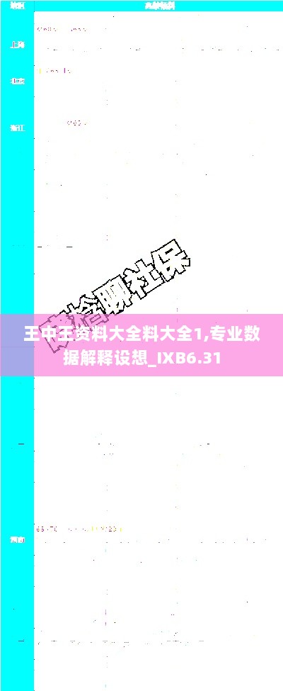 王中王资料大全料大全1,专业数据解释设想_IXB6.31