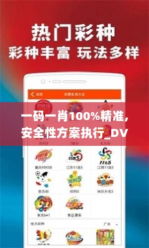 一码一肖100%精准,安全性方案执行_DVG6.11