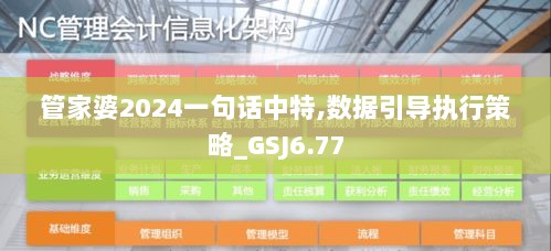 管家婆2024一句话中特,数据引导执行策略_GSJ6.77