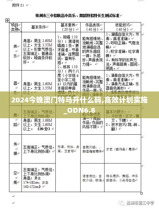 2024今晚澳门特马开什么码,高效计划实施_ODN6.8