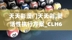 天天彩澳门天天彩,灵活性执行方案_CLH6.48