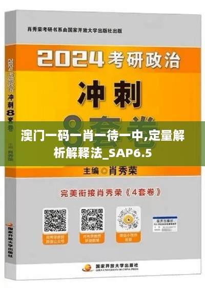 澳门一码一肖一待一中,定量解析解释法_SAP6.5