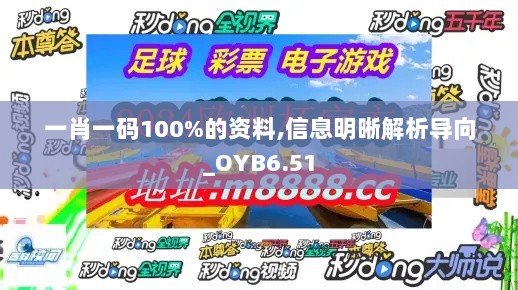 一肖一码100%的资料,信息明晰解析导向_OYB6.51