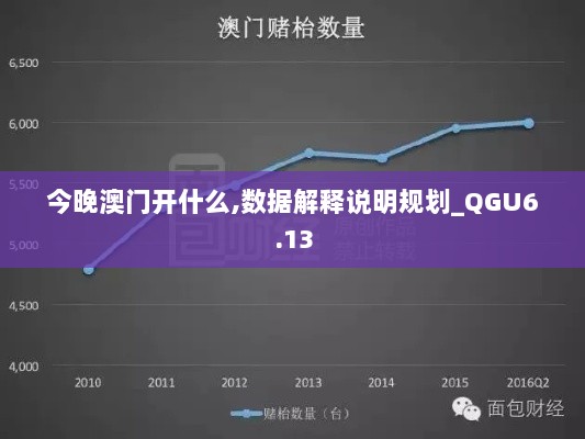 今晚澳门开什么,数据解释说明规划_QGU6.13