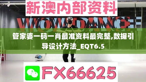 管家婆一码一肖最准资料最完整,数据引导设计方法_EQT6.5