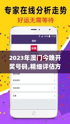 2023年澳门今晚开奖号码,精细评估方案_VYV6.80