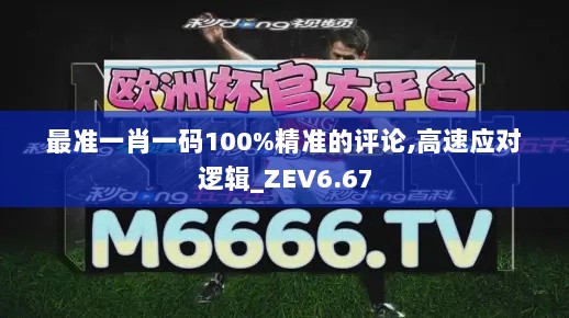 最准一肖一码100%精准的评论,高速应对逻辑_ZEV6.67