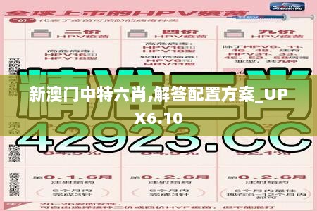 新澳门中特六肖,解答配置方案_UPX6.10