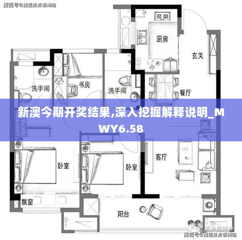 新澳今期开奖结果,深入挖掘解释说明_MWY6.58