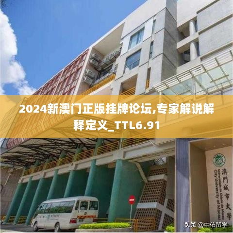 2024新澳门正版挂牌论坛,专家解说解释定义_TTL6.91