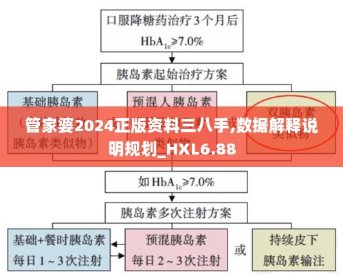 管家婆2024正版资料三八手,数据解释说明规划_HXL6.88