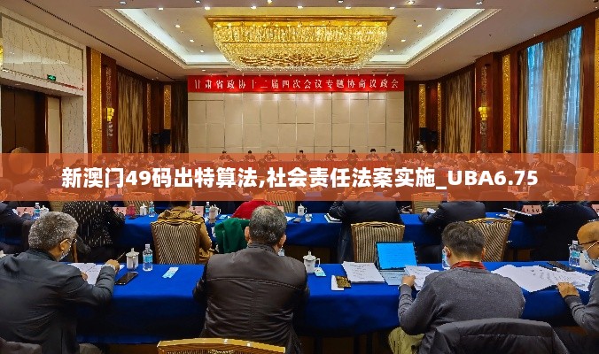 新澳门49码出特算法,社会责任法案实施_UBA6.75