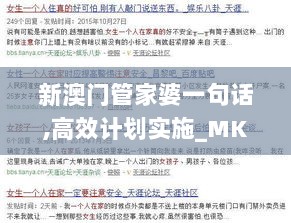 新澳门管家婆一句话,高效计划实施_MKH6.69